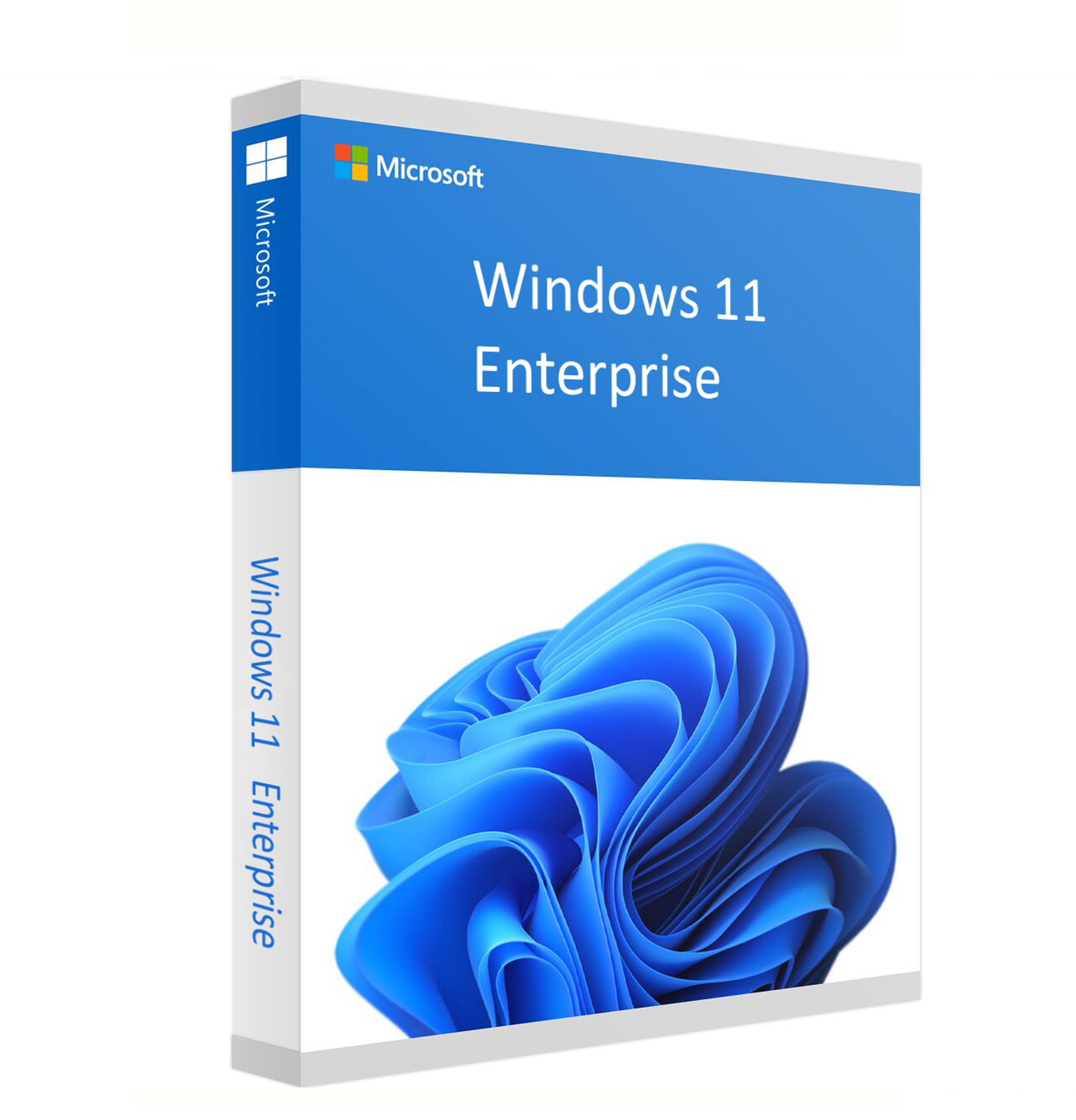 Windows 11 Enterprise Retail