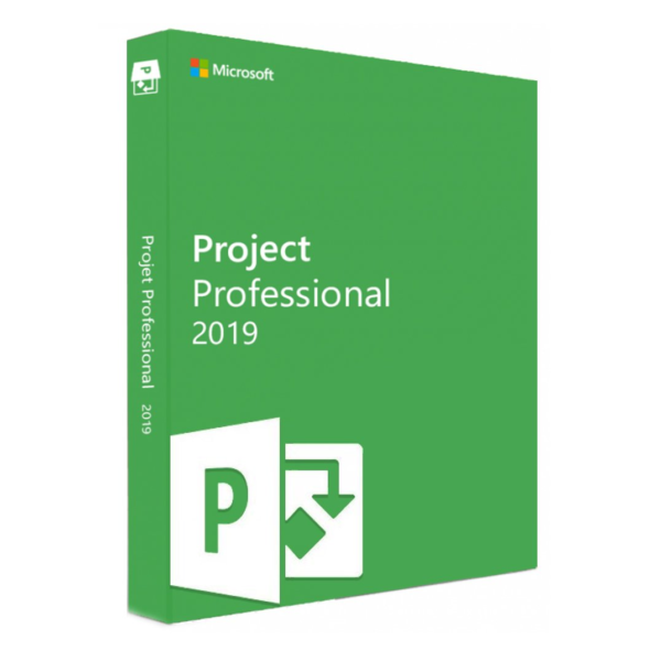 Microsoft Project 2019 Professional (PC)