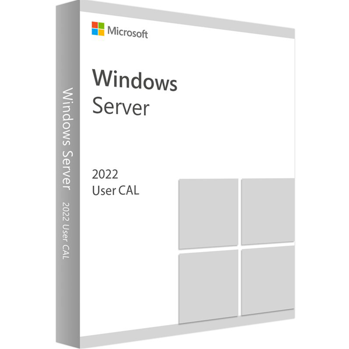 Windows Server 2022 Remote Desktop Services User CAL
